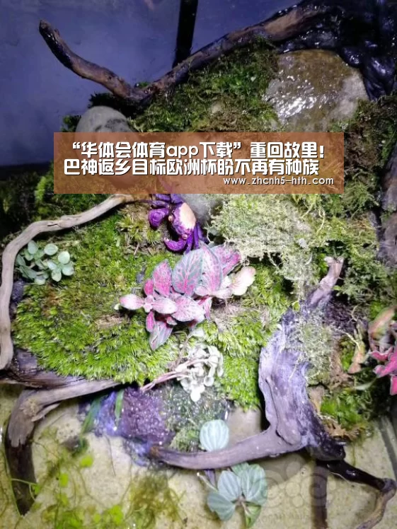 “华体会体育app下载”重回故里!巴神返乡目标欧洲杯盼不再有种族歧视(图1) 华体会官方平台