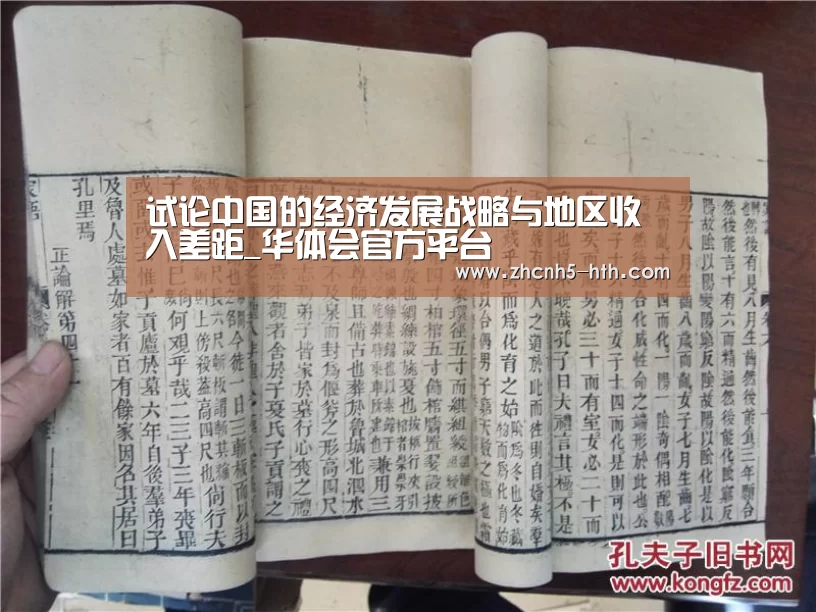 试论中国的经济发展战略与地区收入差距_华体会官方平台(图1) 华体会体育app下载