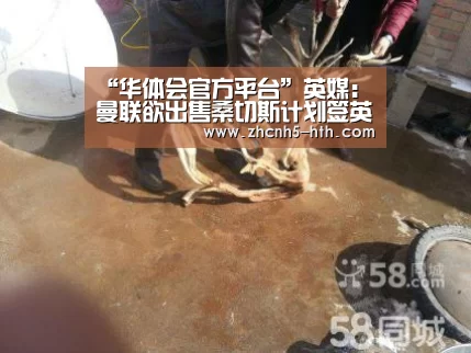 “华体会官方平台”英媒:曼联欲出售桑切斯计划签英超两当红新星(图1) 华体会官方平台